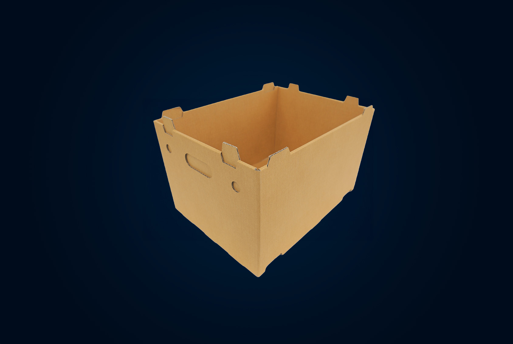 CARTON – JP – oizuru